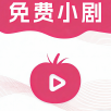 tuntun剧安卓手机版下载